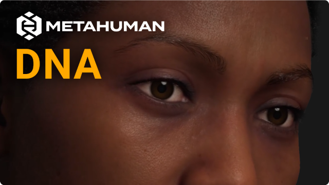 MetaHuman DNAインポート